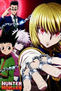 Hunter x Hunter 2011 VF