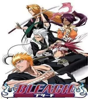 Bleach VF